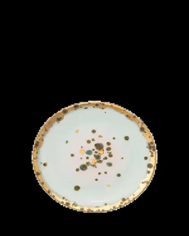 Coralla Maiuri Villa Borghese Michelangelo Dessert Coupe Plate | Thumbnail 2 Coralla Maiuri Villa Borghese Michelangelo Dessert Coupe Plate | Thumbnail 2