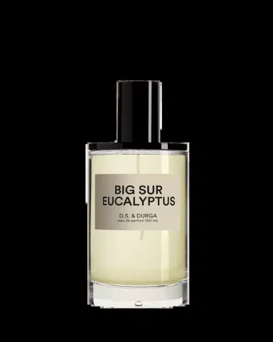 D.S. & DURGA Big Sur Eucalyptus Eau De Parfum, 100 mL | Thumbnail 2 D.S. & DURGA Big Sur Eucalyptus Eau De Parfum, 100 mL | Thumbnail 2