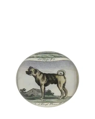 John Derian Pug Profile Dome Paperweight | Thumbnail 1 John Derian Pug Profile Dome Paperweight | Thumbnail 1
