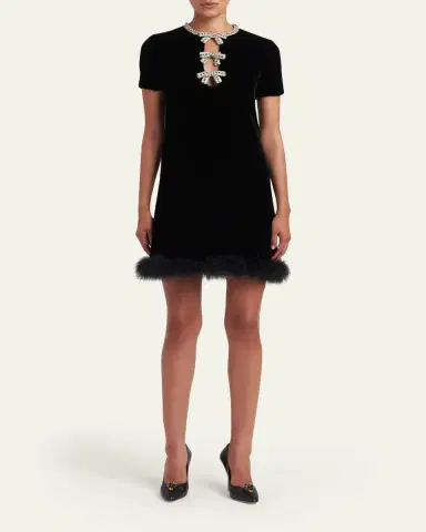 Valentino Garavani Crystal Bow Velvet Mini Dress With Feather Trim | Thumbnail 2 Valentino Garavani Crystal Bow Velvet Mini Dress With Feather Trim | Thumbnail 2