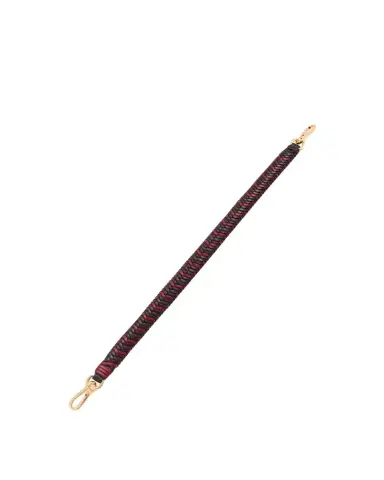 Loewe Tricolor Woven Leather Shoulder Strap | Thumbnail 1 Loewe Tricolor Woven Leather Shoulder Strap | Thumbnail 1