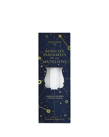 Trudon Nuit Enchantee Fir Madeleine Taper Candles, Set of 6 | Thumbnail 1 Trudon Nuit Enchantee Fir Madeleine Taper Candles, Set of 6 | Thumbnail 1