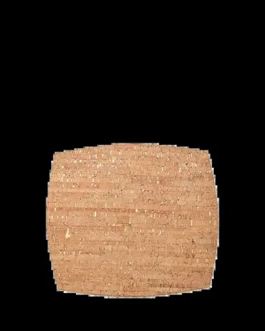 Kim Seybert Whistler Cork Placemat | Thumbnail 2 Kim Seybert Whistler Cork Placemat | Thumbnail 2