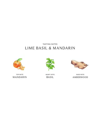 Jo Malone London Lime Basil Mandarin Diffuser, 5.5 oz. | Thumbnail 2 Jo Malone London Lime Basil Mandarin Diffuser, 5.5 oz. | Thumbnail 2