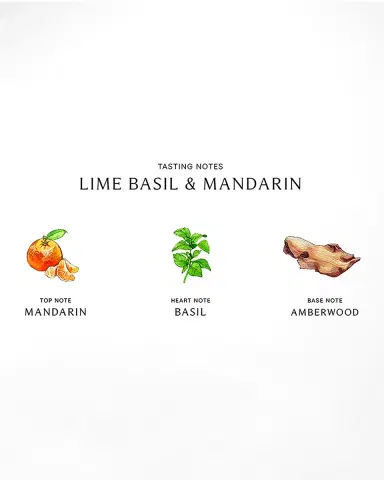 Jo Malone London Lime Basil & Mandarin Body Creme, 5.9 oz. | Thumbnail 2 Jo Malone London Lime Basil & Mandarin Body Creme, 5.9 oz. | Thumbnail 2