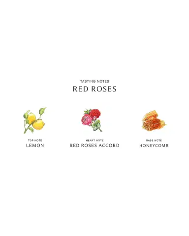 Jo Malone London Red Roses Diffuser | Thumbnail 2 Jo Malone London Red Roses Diffuser | Thumbnail 2