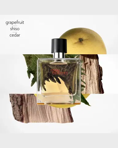HERMÈS Terre d 'Hermes Parfum | Thumbnail 2 HERMÈS Terre d 'Hermes Parfum | Thumbnail 2