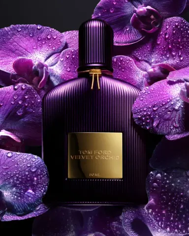 Tom Ford Velvet Orchid Eau de Parfum Fragrance | Thumbnail 4 Tom Ford Velvet Orchid Eau de Parfum Fragrance | Thumbnail 4