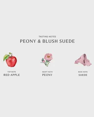 Jo Malone London Peony & Blush Suede Bath Oil, 8.4 oz./ 250 mL | Thumbnail 2 Jo Malone London Peony & Blush Suede Bath Oil, 8.4 oz./ 250 mL | Thumbnail 2