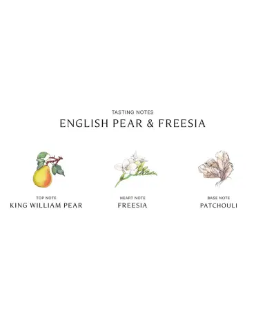 Jo Malone London English Pear & Freesia Home Candle, 7 oz. | Thumbnail 3 Jo Malone London English Pear & Freesia Home Candle, 7 oz. | Thumbnail 3
