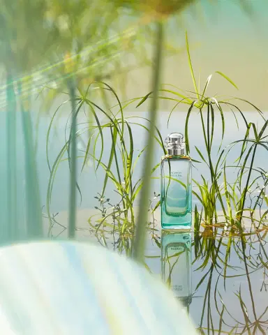 Hermes Un Jardin sur le Nil Eau de Toilette Spray | Thumbnail 3 Hermes Un Jardin sur le Nil Eau de Toilette Spray | Thumbnail 3