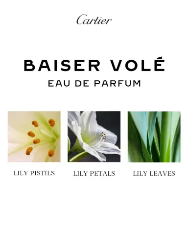 Cartier Baiser Vole Eau de Parfum, 3.3 oz. | Thumbnail 2 Cartier Baiser Vole Eau de Parfum, 3.3 oz. | Thumbnail 2
