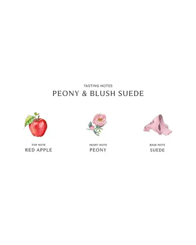 Jo Malone London Peony & Blush Suede Scent Surround Diffuser, 5.6 oz./ 165 mL | Thumbnail 2 Jo Malone London Peony & Blush Suede Scent Surround Diffuser, 5.6 oz./ 165 mL | Thumbnail 2