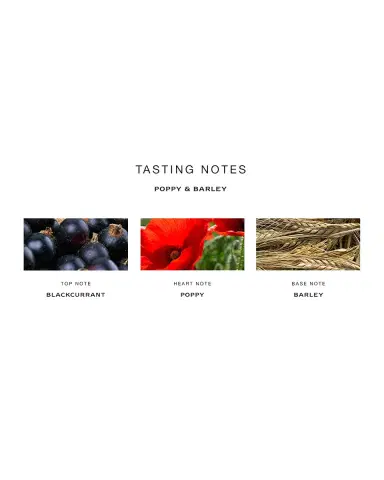 Jo Malone London 8.4 oz. Poppy & Barley Body & Hand Wash | Thumbnail 2 Jo Malone London 8.4 oz. Poppy & Barley Body & Hand Wash | Thumbnail 2