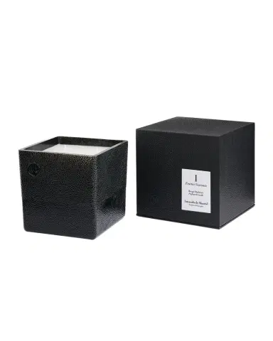 Amanda de Montal 38.8 oz. Fructus Vasconia Candle | Thumbnail 1 Amanda de Montal 38.8 oz. Fructus Vasconia Candle | Thumbnail 1