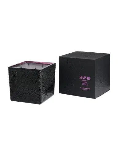 Amanda de Montal Armagnac Sauvage Candle | Thumbnail 1 Amanda de Montal Armagnac Sauvage Candle | Thumbnail 1