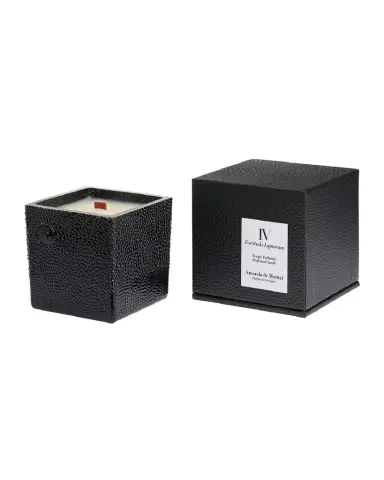 Amanda de Montal 7.76 oz. Fortitudo Lignorum Candle | Thumbnail 1 Amanda de Montal 7.76 oz. Fortitudo Lignorum Candle | Thumbnail 1