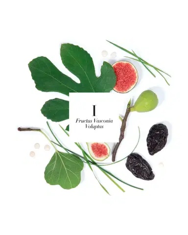 Amanda de Montal 7.76 oz. Fructus Vasconia Candle | Thumbnail 2 Amanda de Montal 7.76 oz. Fructus Vasconia Candle | Thumbnail 2