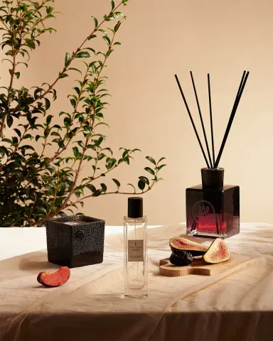 Amanda de Montal 16.9 oz. Fructus Vasconia Diffuser | Thumbnail 4 Amanda de Montal 16.9 oz. Fructus Vasconia Diffuser | Thumbnail 4