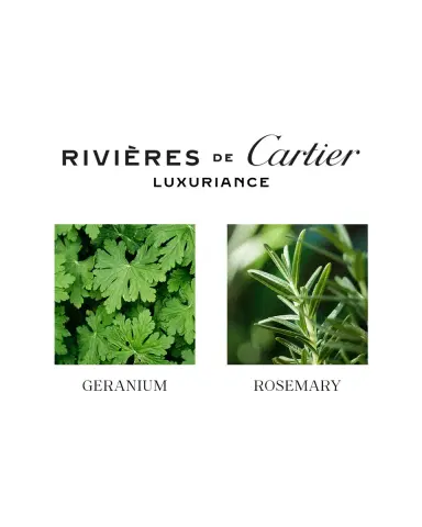 Cartier Rivieres Luxuriance Eau de Toilette, 3.3 oz. | Thumbnail 2 Cartier Rivieres Luxuriance Eau de Toilette, 3.3 oz. | Thumbnail 2