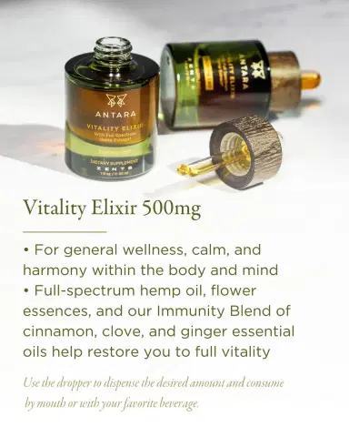 Zents 1 oz. ANTARA Vitality Elixir with 500 mg CBD | Thumbnail 3 Zents 1 oz. ANTARA Vitality Elixir with 500 mg CBD | Thumbnail 3