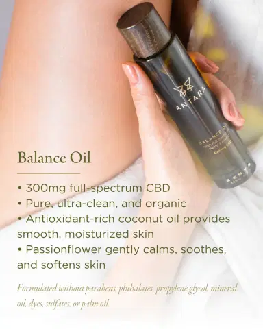 Zents 3.3 oz. ANTARA Balance Body Oil with 300 mg CBD | Thumbnail 3 Zents 3.3 oz. ANTARA Balance Body Oil with 300 mg CBD | Thumbnail 3