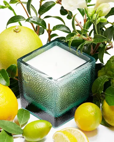 Amanda de Montal 7.76 oz. Thea Citrus Bergamia Candle | Thumbnail 2 Amanda de Montal 7.76 oz. Thea Citrus Bergamia Candle | Thumbnail 2