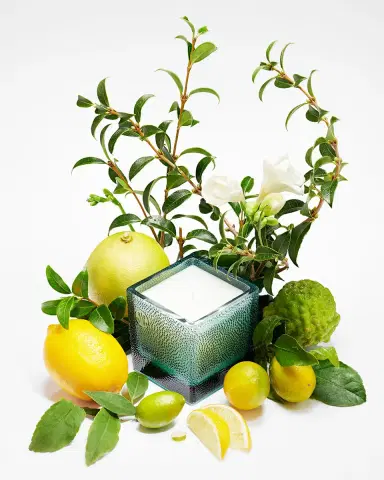 Amanda de Montal 7.76 oz. Thea Citrus Bergamia Candle | Thumbnail 3 Amanda de Montal 7.76 oz. Thea Citrus Bergamia Candle | Thumbnail 3