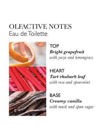Molton Brown Rhubarb & Rose Eau de Toilette, 3.4 oz. | Thumbnail 2 Molton Brown Rhubarb & Rose Eau de Toilette, 3.4 oz. | Thumbnail 2