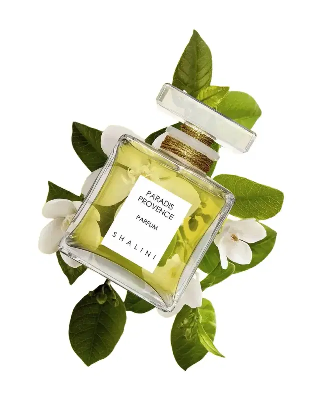 Paradis Provence Cubique Glass Bottle with Glass Stopper, 1.7 oz./ 50 mL Paradis Provence Cubique Glass Bottle with Glass Stopper, 1.7 oz./ 50 mL