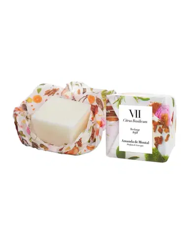 Amanda de Montal 49.4 oz. Citrus Candle Refill | Thumbnail 1 Amanda de Montal 49.4 oz. Citrus Candle Refill | Thumbnail 1