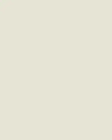 Home Silks Two Rio Golden Curtains | Thumbnail 3 Home Silks Two Rio Golden Curtains | Thumbnail 3