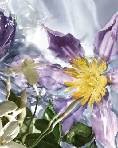 Guerlain Aqua Allegoria Flora Salvaggia Wildflower Eau de Toilette, 4.2 oz. | Thumbnail 2 Guerlain Aqua Allegoria Flora Salvaggia Wildflower Eau de Toilette, 4.2 oz. | Thumbnail 2