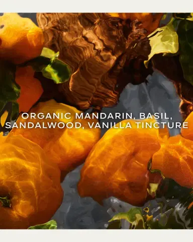 Guerlain Aqua Allegoria Mandarine Basilic Forte Eau de Parfum, 4.2 oz. | Thumbnail 3 Guerlain Aqua Allegoria Mandarine Basilic Forte Eau de Parfum, 4.2 oz. | Thumbnail 3