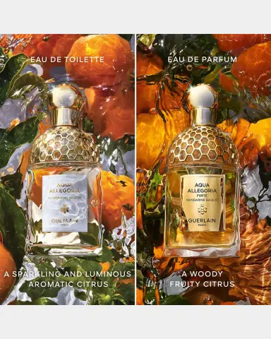 Guerlain Aqua Allegoria Mandarine Basilic Forte Eau de Parfum, 2.5 oz. | Thumbnail 4 Guerlain Aqua Allegoria Mandarine Basilic Forte Eau de Parfum, 2.5 oz. | Thumbnail 4