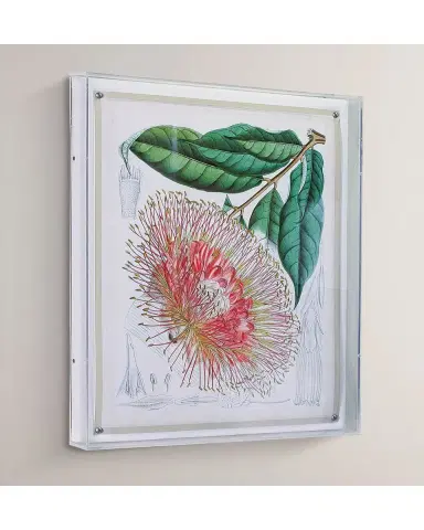 Port 68 Tropicals IV Giclee | Thumbnail 4 Port 68 Tropicals IV Giclee | Thumbnail 4