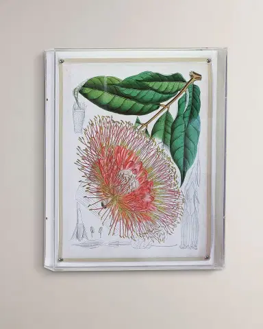 Port 68 Tropicals IV Giclee | Thumbnail 5 Port 68 Tropicals IV Giclee | Thumbnail 5