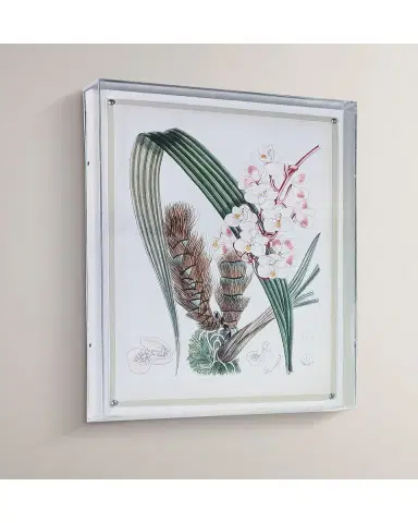 Port 68 Tropicals VIII Giclee | Thumbnail 4 Port 68 Tropicals VIII Giclee | Thumbnail 4