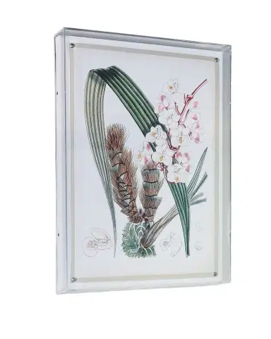 Port 68 Tropicals VIII Giclee | Thumbnail 1 Port 68 Tropicals VIII Giclee | Thumbnail 1
