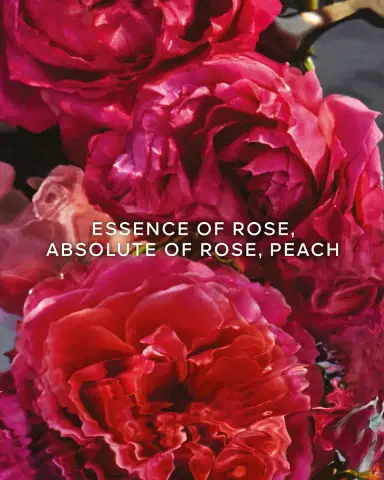 Guerlain Aqua Allegoria Rosa Rossa Rose Forte Eau de Parfum Refill | Thumbnail 2 Guerlain Aqua Allegoria Rosa Rossa Rose Forte Eau de Parfum Refill | Thumbnail 2