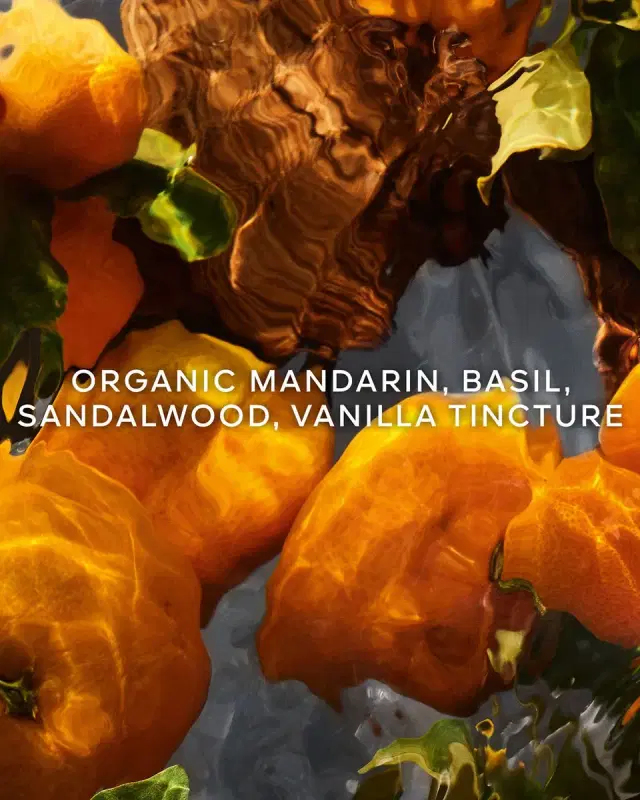Aqua Allegoria Mandarine Basilic Forte Eau de Parfum Refill, 6.8 oz. Aqua Allegoria Mandarine Basilic Forte Eau de Parfum Refill, 6.8 oz.