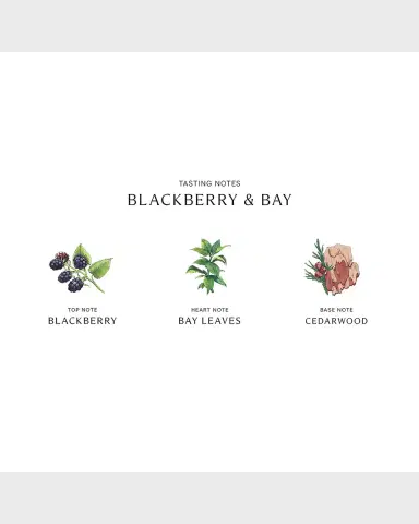 Jo Malone London 5.5 oz. Blackberry & Bay Diffuser | Thumbnail 2 Jo Malone London 5.5 oz. Blackberry & Bay Diffuser | Thumbnail 2
