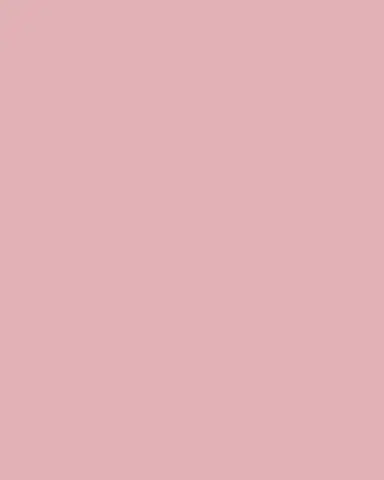 Versace Medusa Amplified Pink Coin Service Plate | Thumbnail 4 Versace Medusa Amplified Pink Coin Service Plate | Thumbnail 4