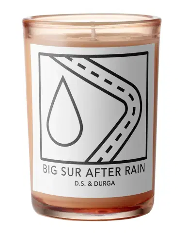 D.S. & DURGA 7 oz. Big Sur After Rain Candle | Thumbnail 1 D.S. & DURGA 7 oz. Big Sur After Rain Candle | Thumbnail 1