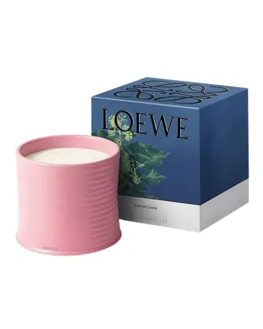 Loewe 74.8 oz. Large Ivy Candle | Thumbnail 1 Loewe 74.8 oz. Large Ivy Candle | Thumbnail 1