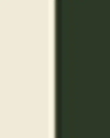 FORNASETTI Tray 25X60cm - Giardino Settecentesco Green Ivory | Thumbnail 5 FORNASETTI Tray 25X60cm - Giardino Settecentesco Green Ivory | Thumbnail 5