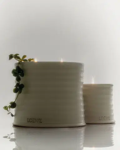 Loewe 74.8 oz. Large Oregano Candle | Thumbnail 4 Loewe 74.8 oz. Large Oregano Candle | Thumbnail 4