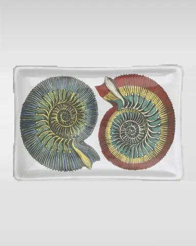Fornasetti Rectangular Ashtray - Conchiglie Black Color White | Thumbnail 2 Fornasetti Rectangular Ashtray - Conchiglie Black Color White | Thumbnail 2