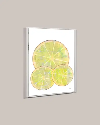 Yoffi "Citrus Tango" Framed Giclee | Thumbnail 3 Yoffi "Citrus Tango" Framed Giclee | Thumbnail 3