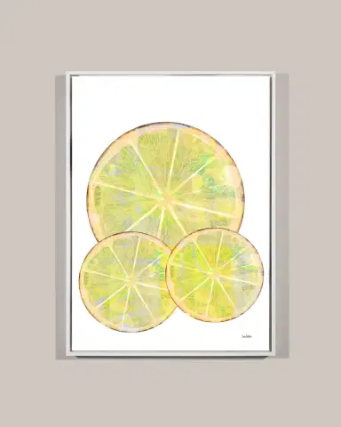 Yoffi "Citrus Tango" Framed Giclee | Thumbnail 4 Yoffi "Citrus Tango" Framed Giclee | Thumbnail 4